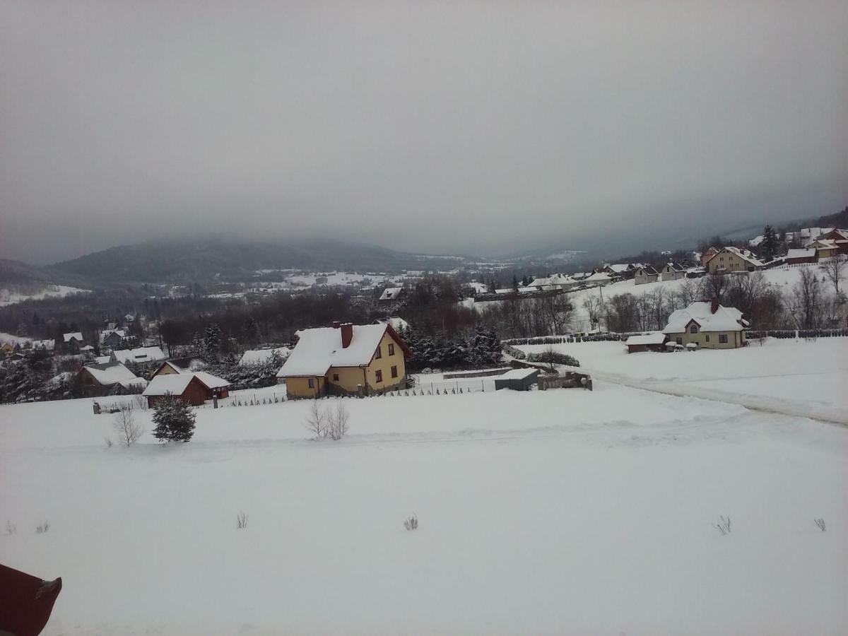Pokoje Panorama Wysowa-Zdrój 외부 사진